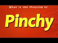 What Is The Meaning Of Pinchy What Does Pinchy Mean