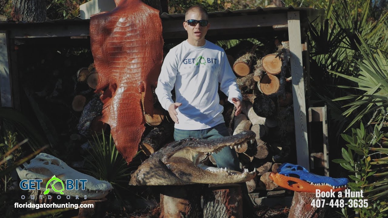 Get Bit Outdoors - Gator Hunt Rates & Taxidermy 