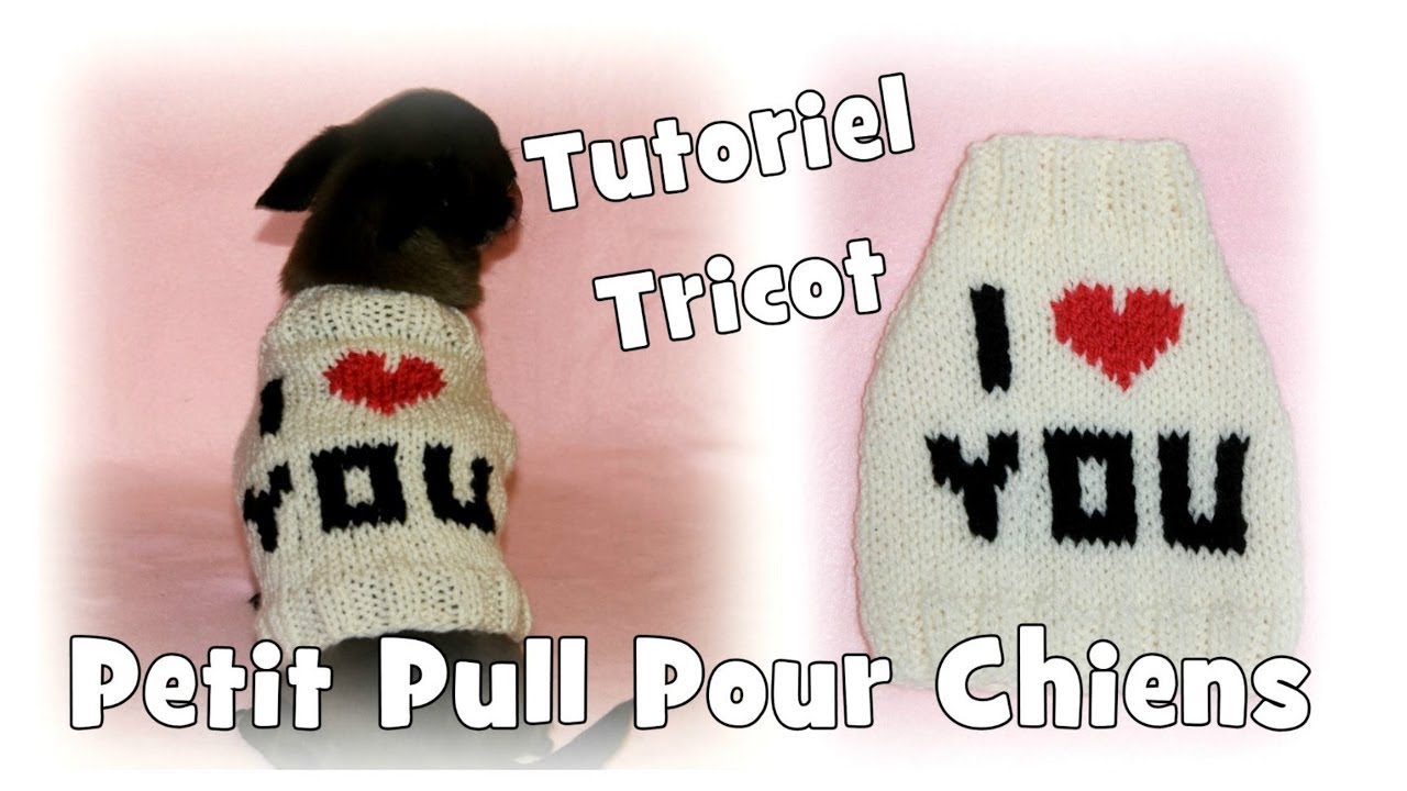 Tutoriel Tricot: Bandeau anti-pipi pour chiens DIY 