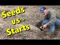 Seeds vs starts the harvest begins 5162024