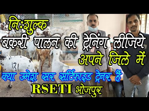 वीडियो: क्या सिटी ट्रेनिंग फ्री है?