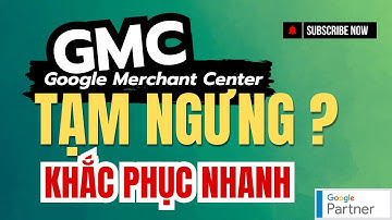 Hướng Dẫn Khắc Phục Lỗi Tài Khoản GMC (Google Merchant Center) Tạm Ngưng