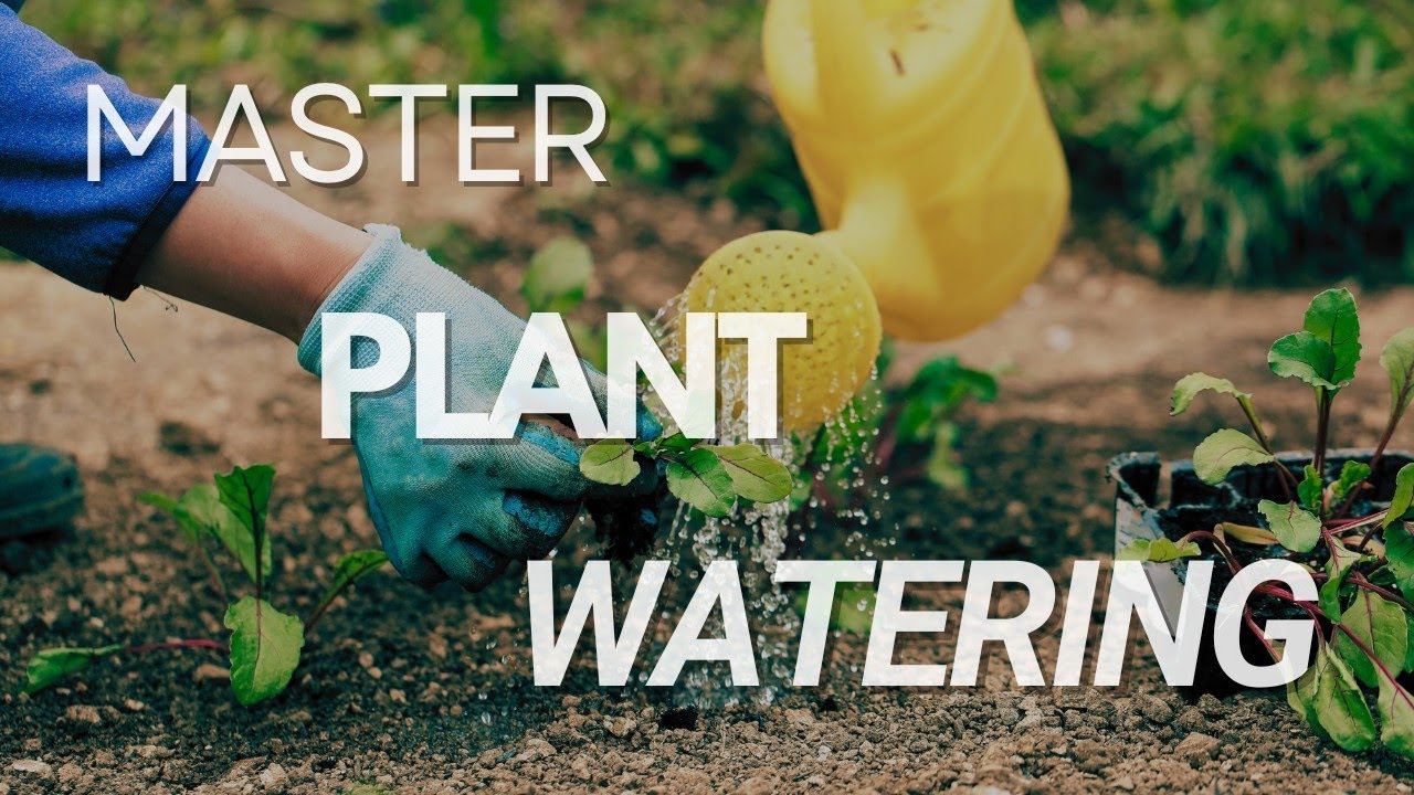 How to Water Your Plants Without Drowning Them: The Unhinged Guide | Gardener’s Survival Guide🌱💧