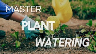 How to Water Your Plants Without Drowning Them: The Unhinged Guide |  Gardeners Survival Guide