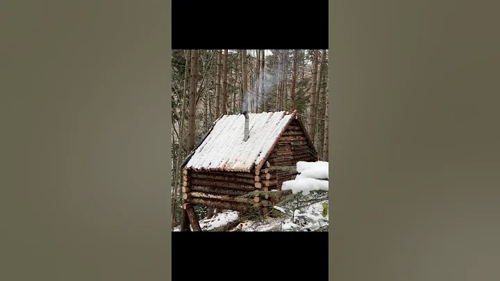 Building Log Cabin in the Woods from Wind-Fallen Trees FULL VIDEO ON MY CHANNEL #bushcraft #survival