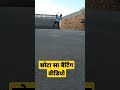 best shot in world cricket ! स्टूडेंट के साथ #youtubeshorts
