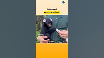 Nó Thích Quấn Người Nhưng Lại Bị Ghét Vì Trông Xấu | Biết Thêm Chút #nhungsuthatthuvi