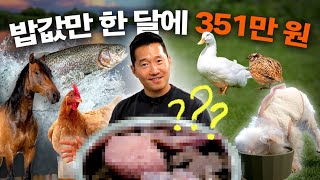 What Kang Hyung Wook feeds his precious dogs (first reveal)