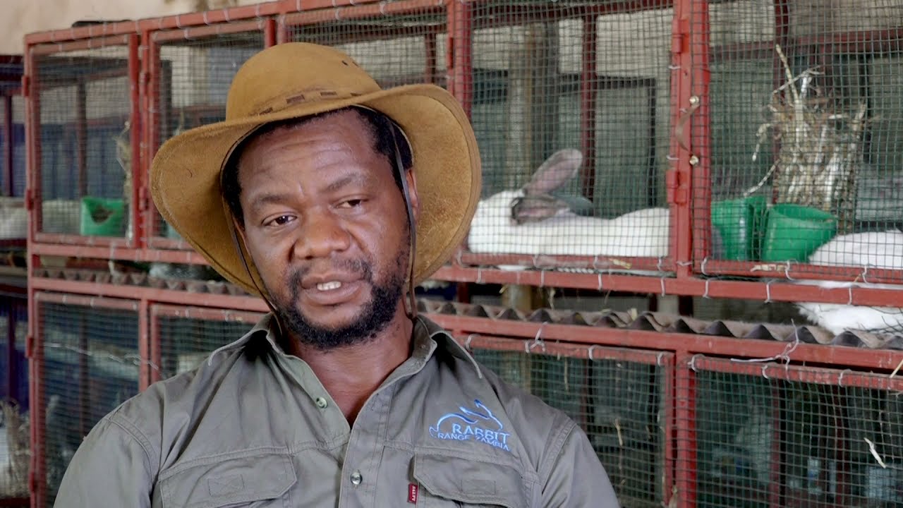 Farming today Rabbit Farming