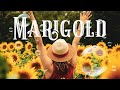 Marigold  - Quincas Moreira - Free To Use - Non Copyright Music - Background Music For Videos