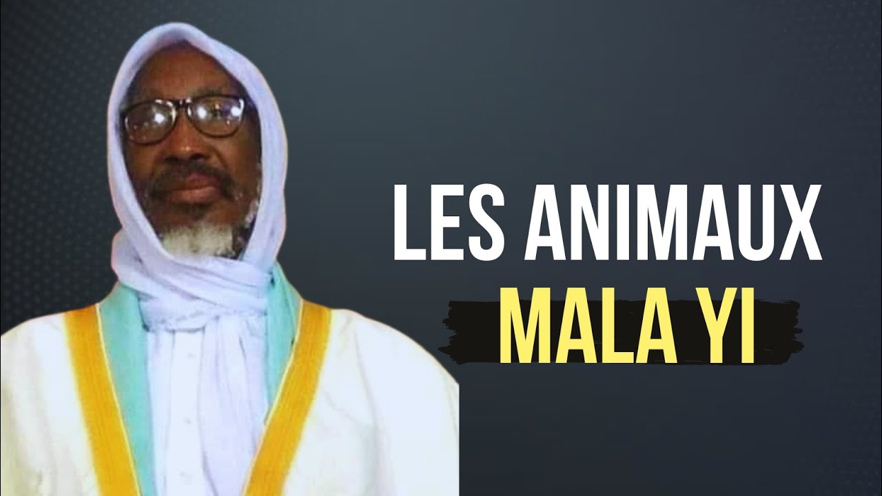 LE DROIT DES ANIMAUX (sañ-sañu mala yi) - Cheikh Mouhidine SAMBA DIALLO
