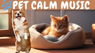 Peaceful Pet Relaxation Visuals & Music #pawsandwhiskers #thedodo #petrelaxation