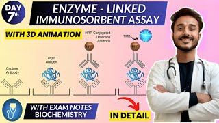 enzyme linked immunosorbent assay elisa biochemistry | Animation