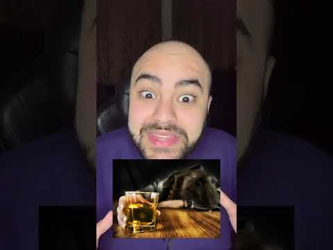 ما هذا يا امير قطر