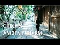 Timeless Charm of China's Historic District | Ancient Street Half-Day Trip | China Travel Vlog