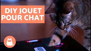 Comment fabriquer des jouet pour chat ?