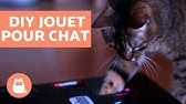 Diy Faire Un Arbre A Chat Maison Youtube