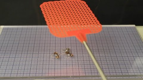 A soft robotic insect that survives being flattened by a fly swatter