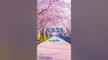 سوره الاعلى روعه القارئ عبدالرحمن مسعد