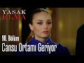 Cansu ortamı geriyor - Yasak Elma 98. Bölüm