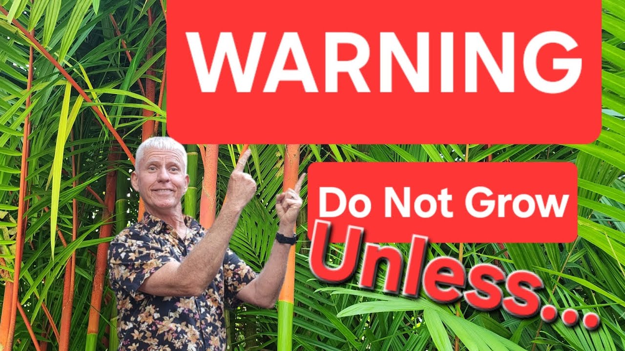 Осторожно, помада на ладони — но почему?