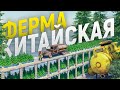 1 000 000 скрапа приносит моя Китайская стена в 3 квадрата в Rust/Раст