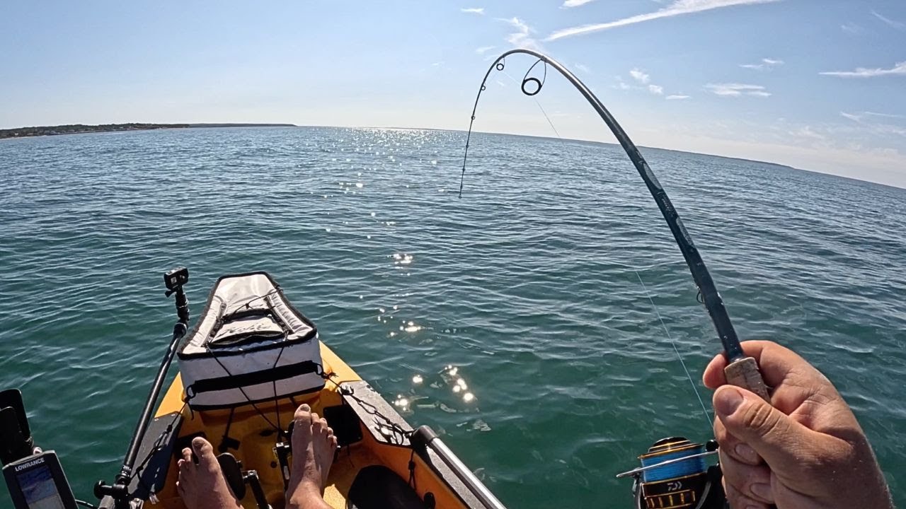 Montauk Kayak Fishing For LARGE Black Sea Bass and Fluke!