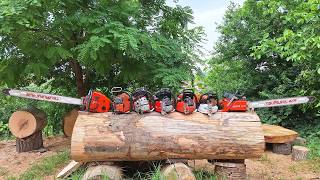 80cc Hall of Fame - Husqvarna 281xp, Solo 681, Dolmar 7900, Stihl MS 500i, bonus Dolmar CC, MS 461