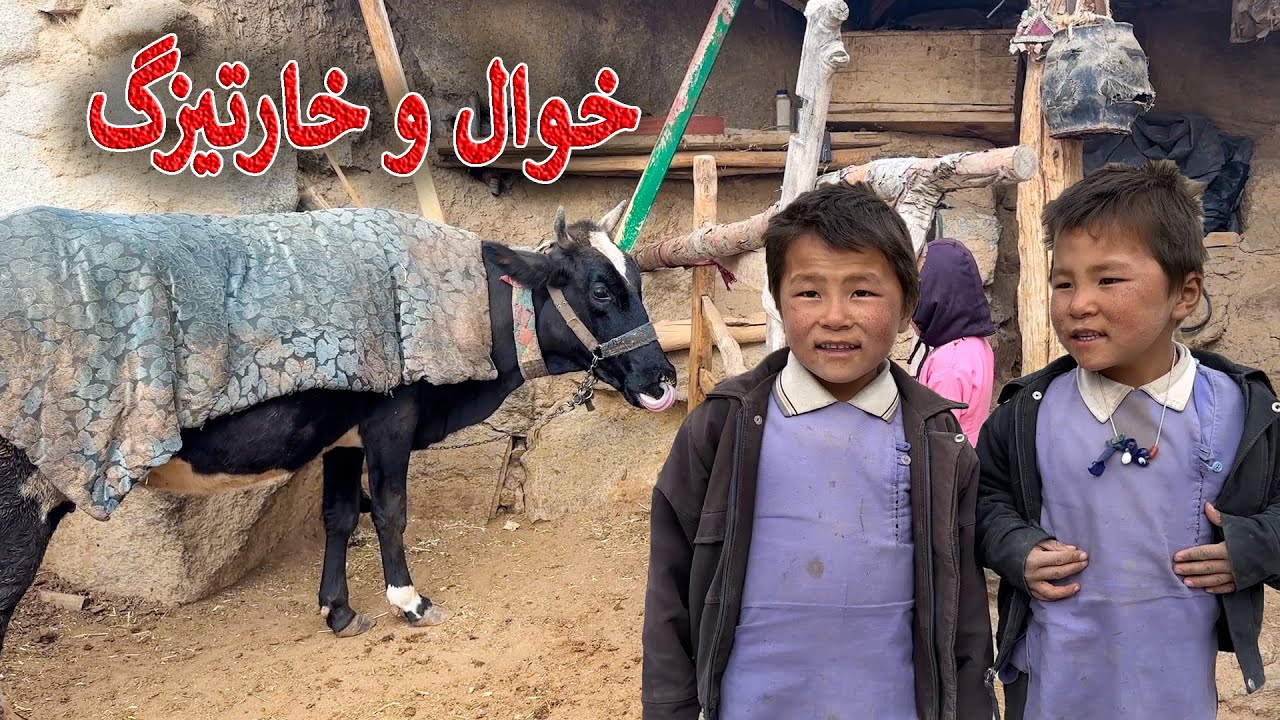 Traveling to Khawal & Khartizak in Jaghori Zeba 💕🏞️💖| سفر به خاوال و خارتیزک در جاغوری زیبا