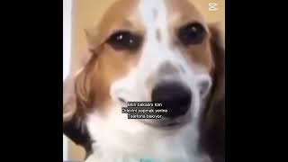 Sen bakıyon ben yaptım yaaa (anneme söyleme yapmadım ehe-) #keşfet #ytdayibenionecikarnolur