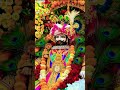 सांवरिया कर दो बेड़ा पार🙏#jay shyam baba #trendingshorts #viralshort #youtubeshorts #subscribe #like