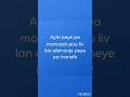spesyal rabè pou tout fanatik mwen yo net....chans pa jwen 2 fwa