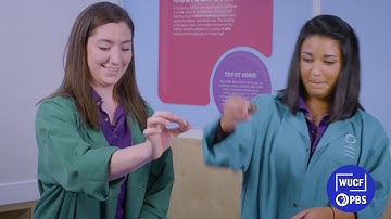 SCIENCE! Kids | Moon Craters