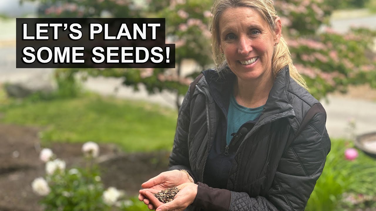 A Quick and Easy Guide to Planting Seeds Planting Seeds from our