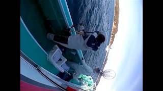 オキアミ ヒラマサ 9 8キロ 鯛丸 スタンディング Youtube