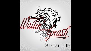 Video thumbnail of "Sunday Blues (Lyric Video) - Wailin' Gnash - ASCAP/Wailin' Gnash Publishing 2022"