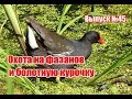 Охота на болотную курочку и фазанов | Выпуск №45 (UKR)