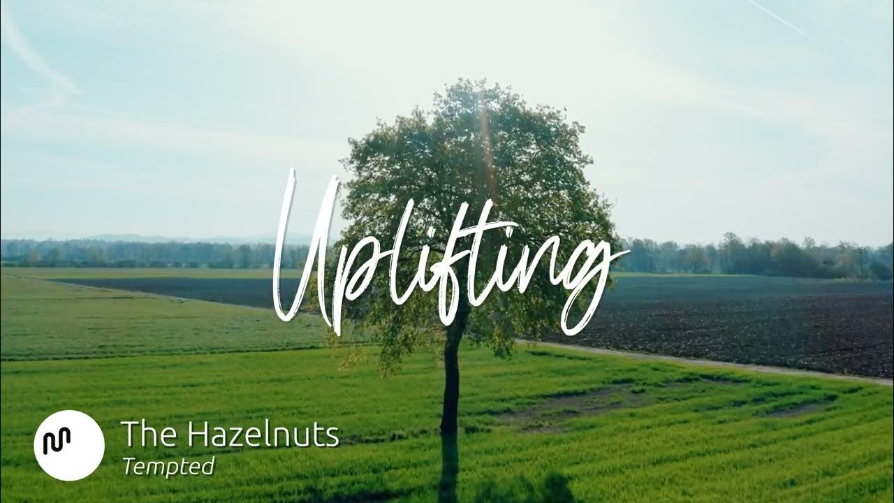 Best soul rnb uplifting music for video the hazelnuts tempted