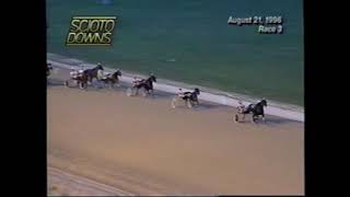 1996 Scioto Downs BEE HOLD Dan Ater