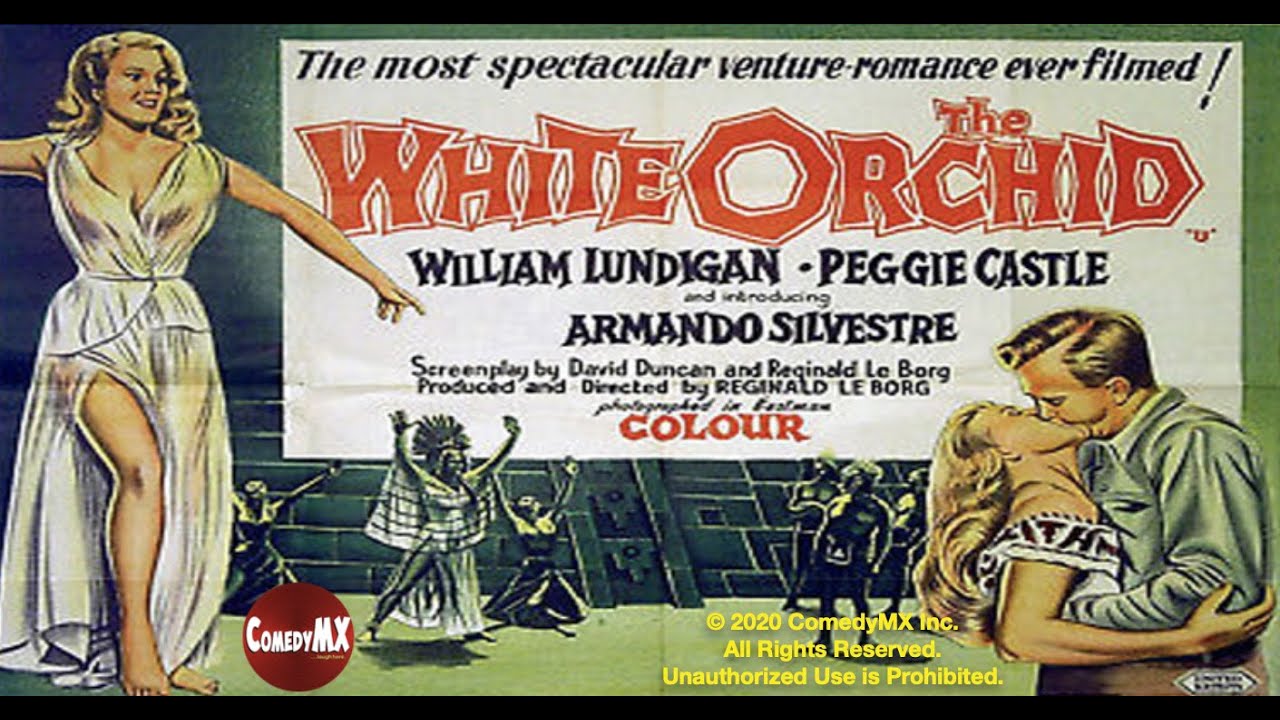 The White Orchid
