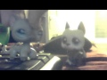 lps complicated