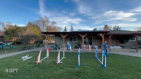 Nina Gregl EXT GRID 2  Dec 20, 2025 SD 480p