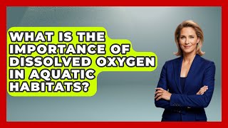 What Is the Importance of Dissolved Oxygen in Aquatic Habitats? | The Marine Life Explorer