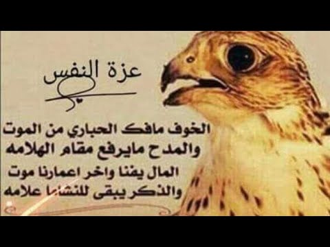 محمد الساهر اغنية مجبورين عفناكم 