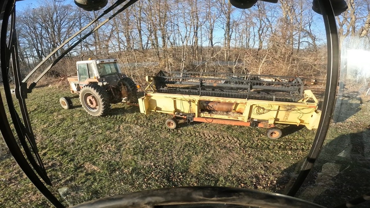 Lamentations of a Horrible Soybean Crop