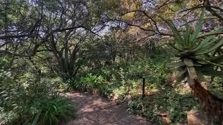 The Wilds Nature Reserve, Johannesburg - South Africa