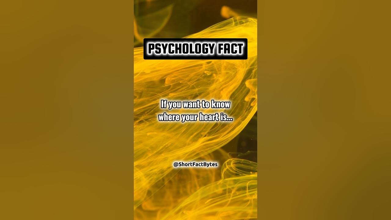 Wandering Mind, Heart’s True Navigation Psychology Fact 