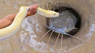 Unbelievable Fishing Technique - Use A Snake To Catch Fish In A Pit Deep In The Ground