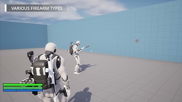 TPS-FPS Character System v2 Overview