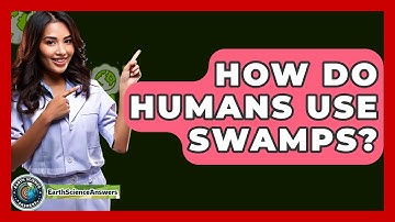 How Do Humans Use Swamps? - Earth Science Answers